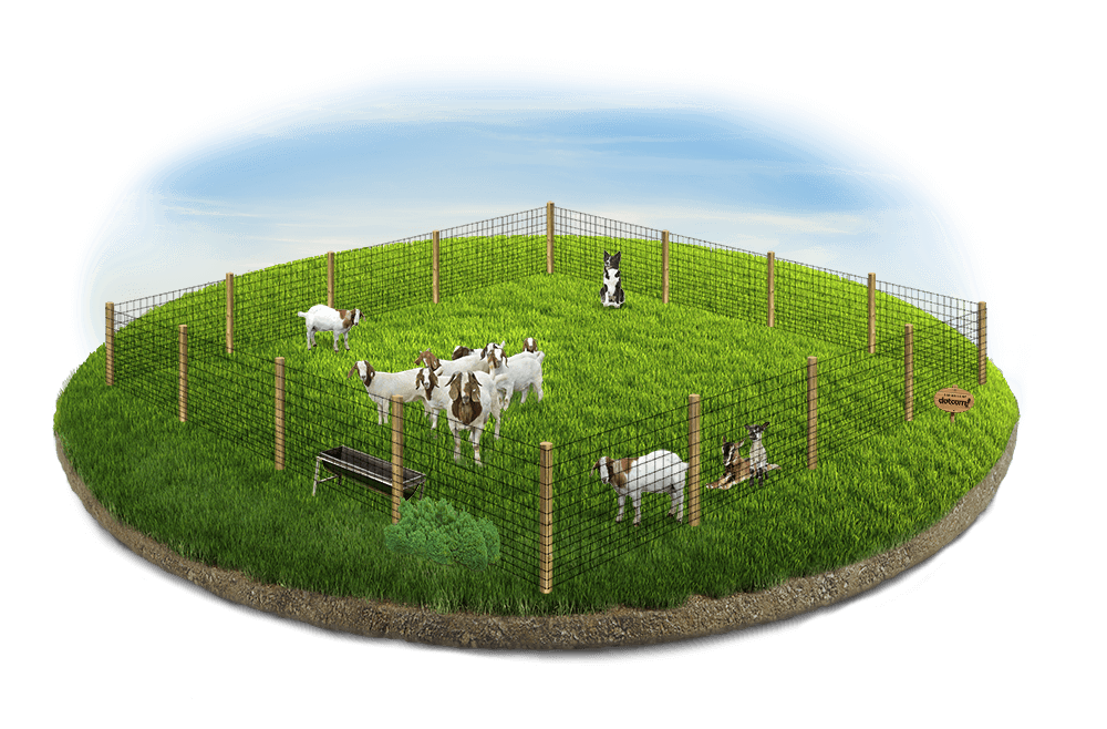Farm Fence Contractor in Westland Michigan